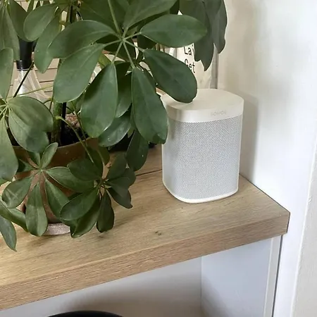 Restful 1bd Flat In *